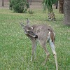 DSC01925
