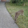 DSC01927