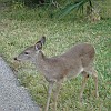 DSC01928