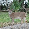 DSC01929