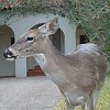 DSC01930
