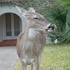 DSC01931