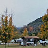 LostMaples01