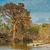 Now the fall colors along Onion Creek. Agora as cores de outono ao longo do Riacho da Cebola. : McKinney Falls SP