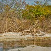 DSC02647 : McKinney Falls SP