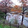 DSC 0002 : McKinney Falls State Park