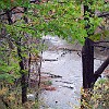 DSC 0005 : McKinney Falls State Park