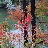 DSC 0006 : McKinney Falls State Park