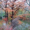DSC 0007 : McKinney Falls State Park