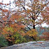 DSC 0008 : McKinney Falls State Park