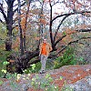DSC 0009 : McKinney Falls State Park