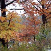 DSC 0011 : McKinney Falls State Park