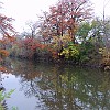 DSC 0014 : McKinney Falls State Park