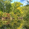 HDR : McKinney Falls State Park