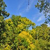 04DSC 1663 : McKinney Falls State Park