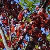 05DSC 1665 : McKinney Falls State Park