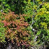 06DSC 1666 : McKinney Falls State Park
