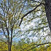 12DSC 1675 : McKinney Falls State Park