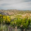 PDCSP2001 04 PA210004004 : Palo Duro Canyon SP
