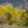 PDCSP2001 10 PA220014014 : Palo Duro Canyon SP