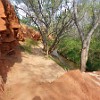 The Sunflower trail was the most scenic. A trilha dos Girassóis foi a mais bonita.
