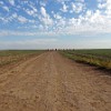 The famous Cadillac Ranch in Amarillo is only some 20 miles from Palo Duro Canyon. O famoso Rancho dos Cadillacs em Amarillo fica apenas a cerca de 32 km do Canyon de Palo Duro.