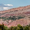 PDCSP 05 DSC04012 : Juniper, Palo Duro Canyon SP, Rojo Grande, Sunflower
