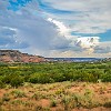 PDCSP 10 GS5 17.26.01 : Juniper, Palo Duro Canyon SP, Rojo Grande, Sunflower