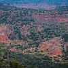 PDCSP 17 DSC04031 : Palo Duro Canyon SP