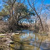 DSC00707