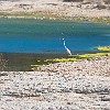 DSC00709