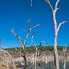 DSC00720