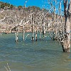 DSC00721