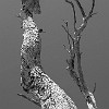 In black and white, the markings are more noticeable. Em branco e preto as marcas são mais pronunciadas.