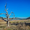 DSCN1467