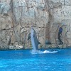 Aquarium06