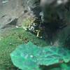 Aquarium23