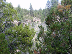 Kaibab NF