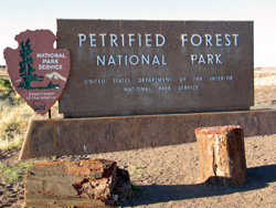 Petrified Forest NP