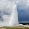 Yellowstone NP