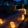 DSC02594